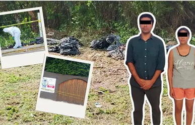 Esto es lo que se sabe del falso crematorio de mascotas desmantelado en Chetumal