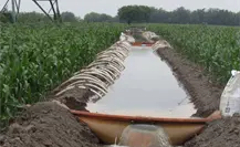 200 mil hectáreas dejarán de recibir riego por falta de agua en el norte de Tamaulipas