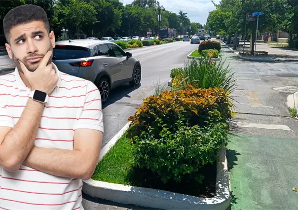 ¿Cuál es la utilidad de las jardineras de Paseo de Montejo en Mérida y por qué quieren retirarlas?