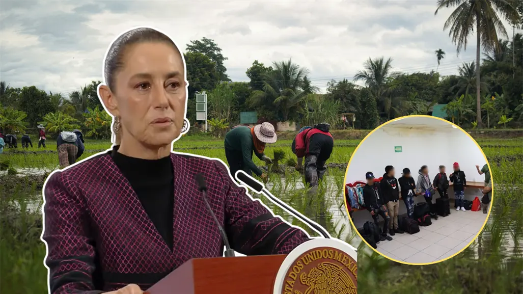 Sheinbaum confirma investigación por explotación infantil en los campos de BCS, tras rescate de 24 niños