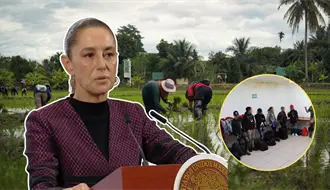 Sheinbaum confirma investigación por explotación infantil en los campos de BCS, tras rescate de 24 niños