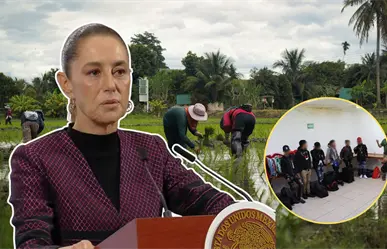 Sheinbaum confirma investigación por explotación infantil en los campos de BCS, tras rescate de 24 niños