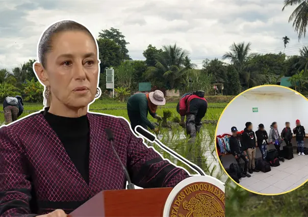 Sheinbaum confirma investigación por explotación infantil en los campos de BCS, tras rescate de 24 niños