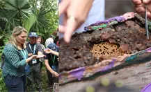 Chefs internacionales visitan cooperativas rurales en Mérida en el marco de la asamblea gastronómica de la UNESCO Chefs internacionales visitan cooperativas rurales en Mérida en el marco de la asamblea gastronómica de la UNESCO