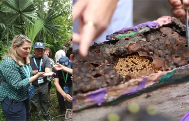 Chefs internacionales visitan cooperativas rurales en Mérida en el marco de la asamblea gastronómica de la UNESCO