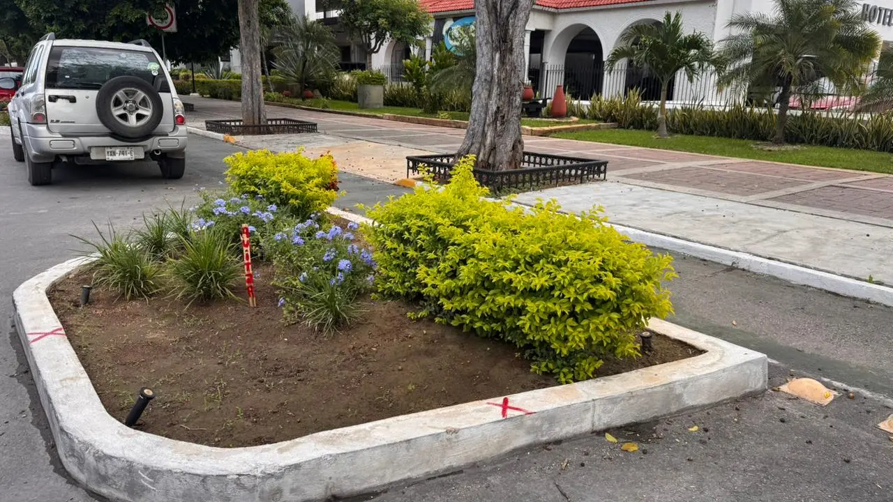 ¿De dónde surgió la idea de quitar las jardineras del Paseo de Montejo?. Foto: Alejandra Vargas