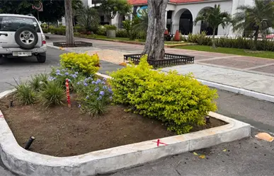 Marcas en jardineras del Paseo de Montejo avivan el debate sobre movilidad y seguridad vial en Mérida
