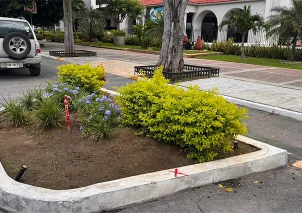 Marcas en jardineras del Paseo de Montejo avivan el debate sobre movilidad y seguridad vial en Mérida