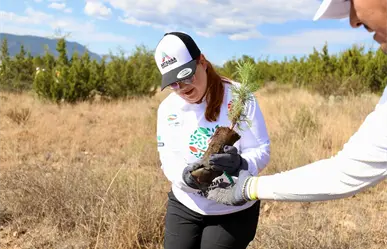 Arteaga impulsa la reforestación sembrando 2 mil árboles nativos