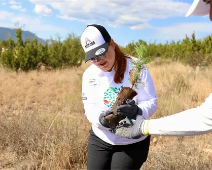 Arteaga impulsa la reforestación sembrando 2 mil árboles nativos