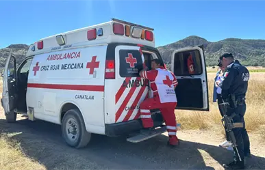 Ataque de abejas en Canatlán, Durango, deja 20 víctimas; hay una mujer grave
