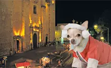 Frente frío 12 continuará la heladez durante este domingo 2 de noviembre en Yucatán Frente frío 12 continuará la heladez durante este domingo 2 de noviembre en Yucatán