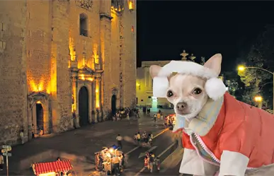 Frente fr&iacute;o 12 continuar&aacute; la heladez durante este domingo 2 de noviembre en Yucat&aacute;n