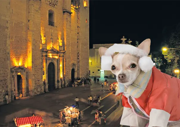 Frente frío 12 continuará la heladez durante este domingo 2 de noviembre en Yucatán