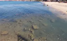 Denuncian mal olor y basura en el Malecón de La Paz: urge limpieza y baños públicos