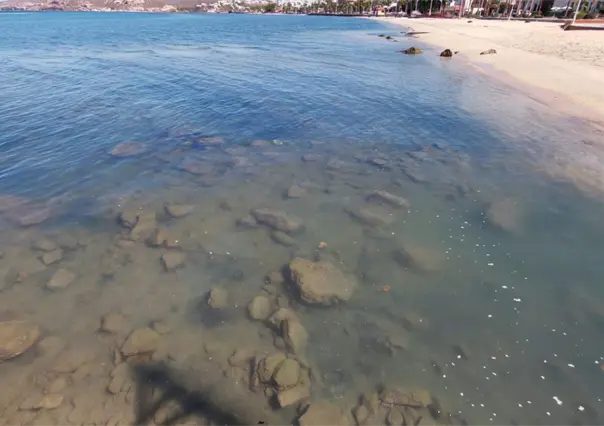 Denuncian mal olor y basura en el Malecón de La Paz: urge limpieza y baños públicos