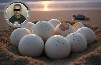 Detienen a hombre en estación Chabacano del Metro con 360 huevos de tortuga