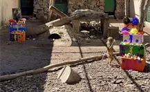 Zoológico de Durango lo hace de nuevo: esto comieron sus animales por Día de Muertos Zoológico de Durango lo hace de nuevo: esto comieron sus animales por Día de Muertos