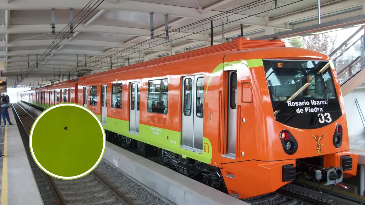 Chinches en el Metro de CDMX (1280 x 720 px). Foto: @MetroCDMX y @amorcdmx | Canva