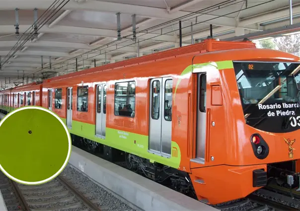 VIDEO | Usuarios graban chinches en Metro CDMX y piden a las autoridades tomar medidas inmediatas