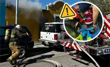 Tragedia en Ramos Arizpe: altar provoca incendio y perrito pierde la vida Tragedia en Ramos Arizpe: altar provoca incendio y perrito pierde la vida