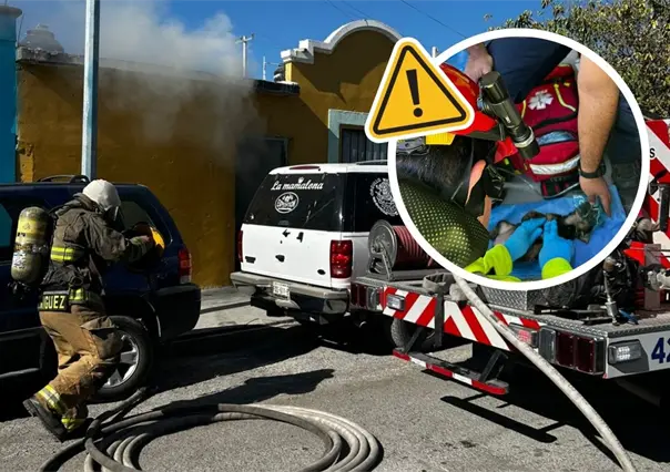 Tragedia en Ramos Arizpe: altar provoca incendio y perrito pierde la vida