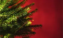 Navidad Tamaulipas: ¿Cuando se pone el árbol de Navidad? Navidad Tamaulipas: ¿Cuando se pone el árbol de Navidad?