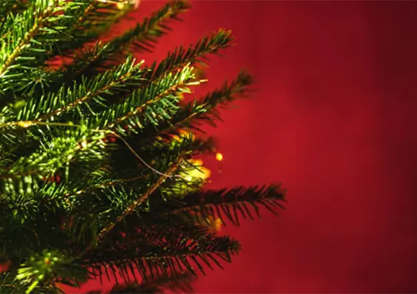 Navidad Tamaulipas: &iquest;Cuando se pone el &aacute;rbol de Navidad?