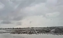 Por esta razón quieren que distrito de riego 025 en Tamaulipas sea ahora zona temporal Por esta razón quieren que distrito de riego 025 en Tamaulipas sea ahora zona temporal