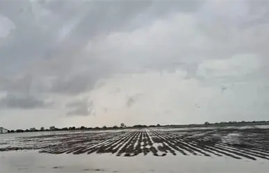 Por esta razón quieren que distrito de riego 025 en Tamaulipas sea ahora zona temporal