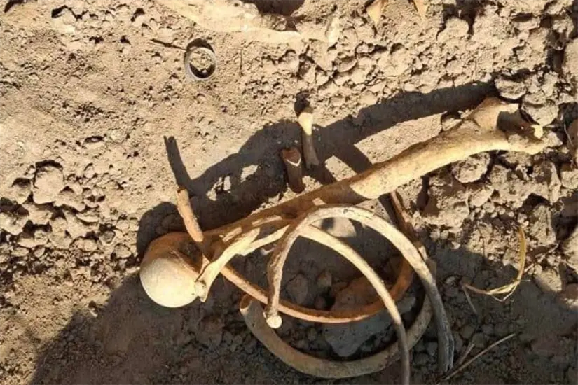 imagen recuadro Cadáveres encontrados por colectivos de familias buscadoras | Foto: FB