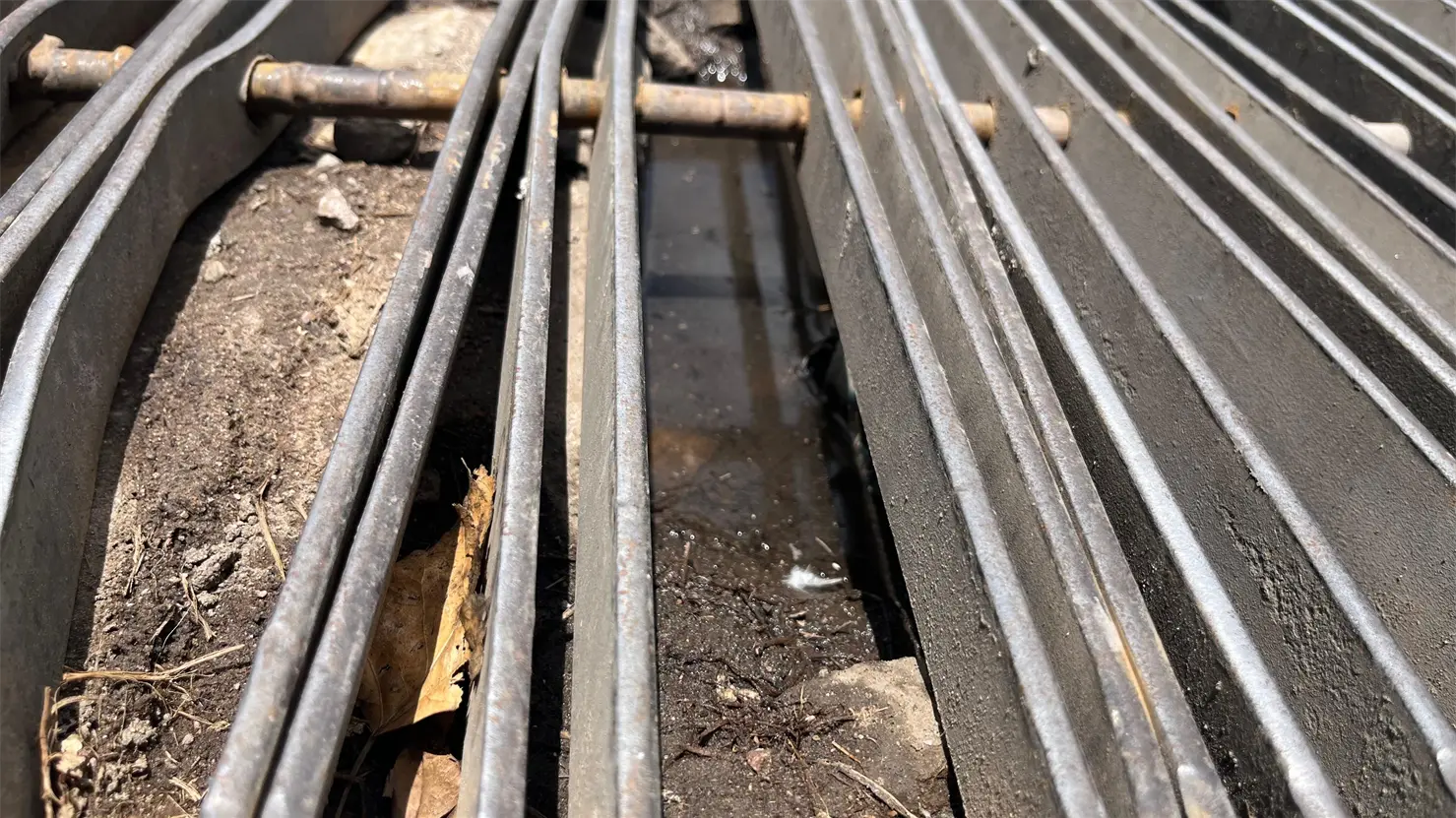 ¿Terminó ya el riesgo de dengue en 2025? Esto dice el director de Salud Pública de Durango