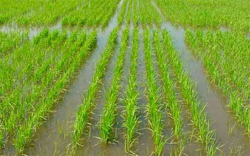 imagen recuadro imagen recuadro