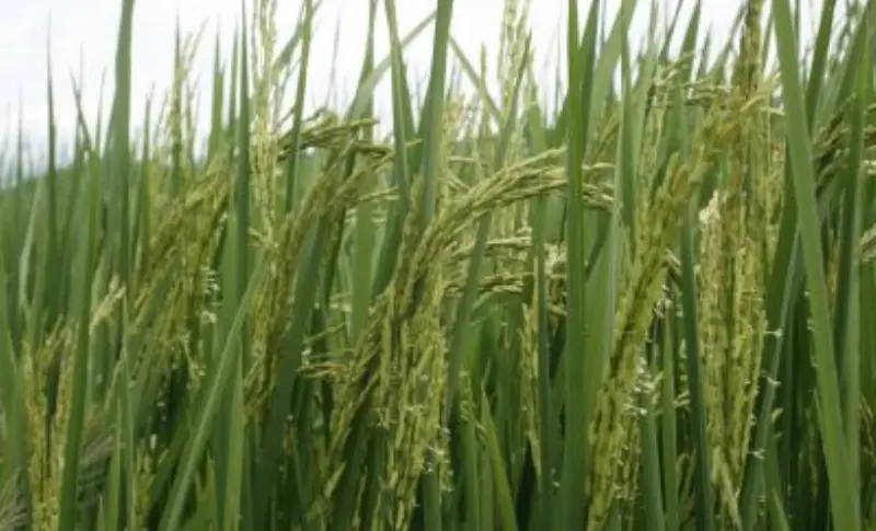 imagen recuadro imagen recuadro