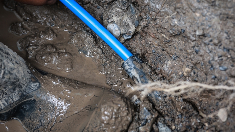 imagen-cuerpo imagen-cuerpo