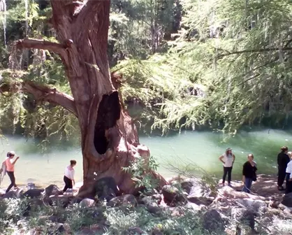 Las 3 escapadas de un día en Durango que recomienda a los turistas Trip Advisor