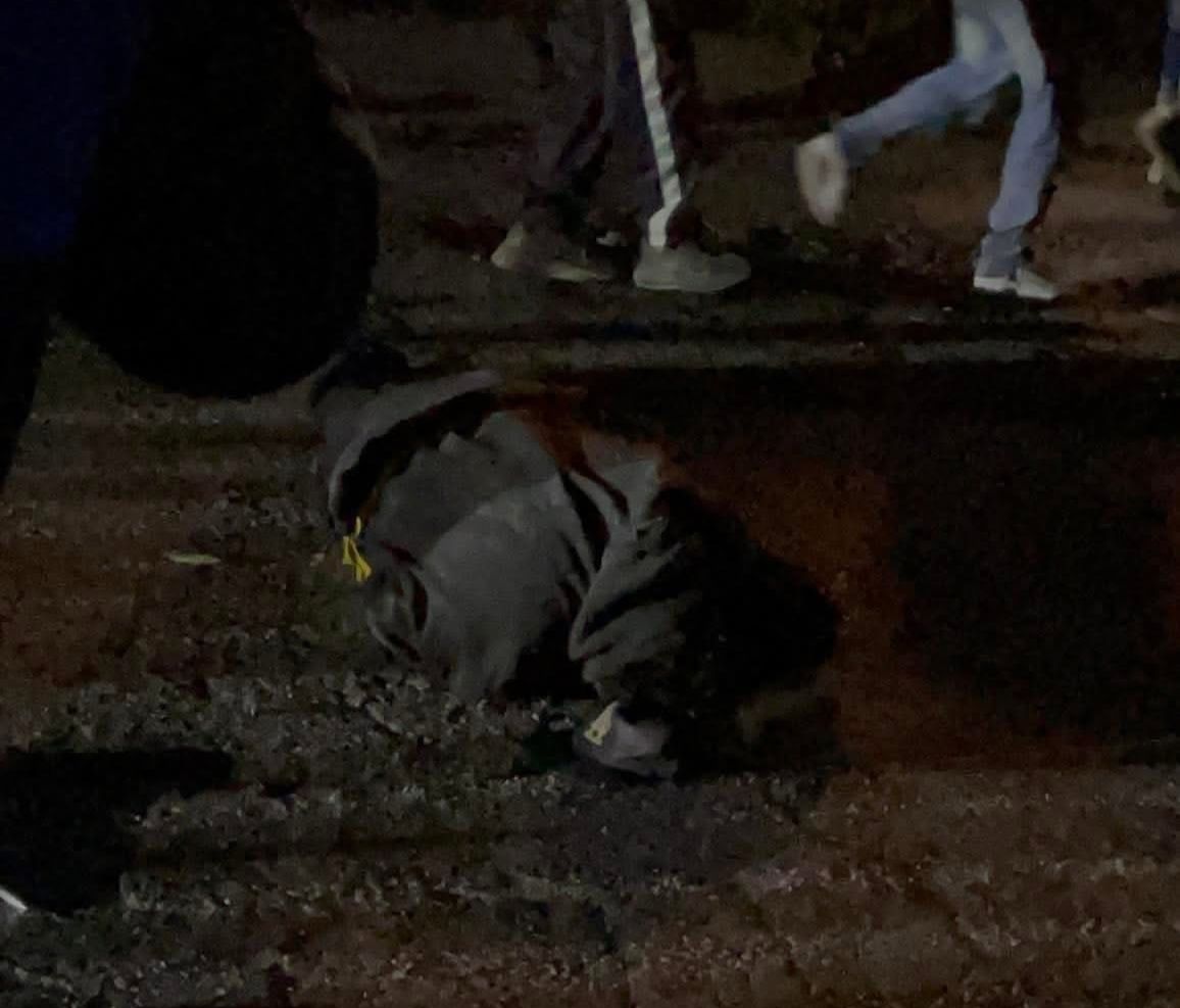 imagen-cuerpo imagen-cuerpo