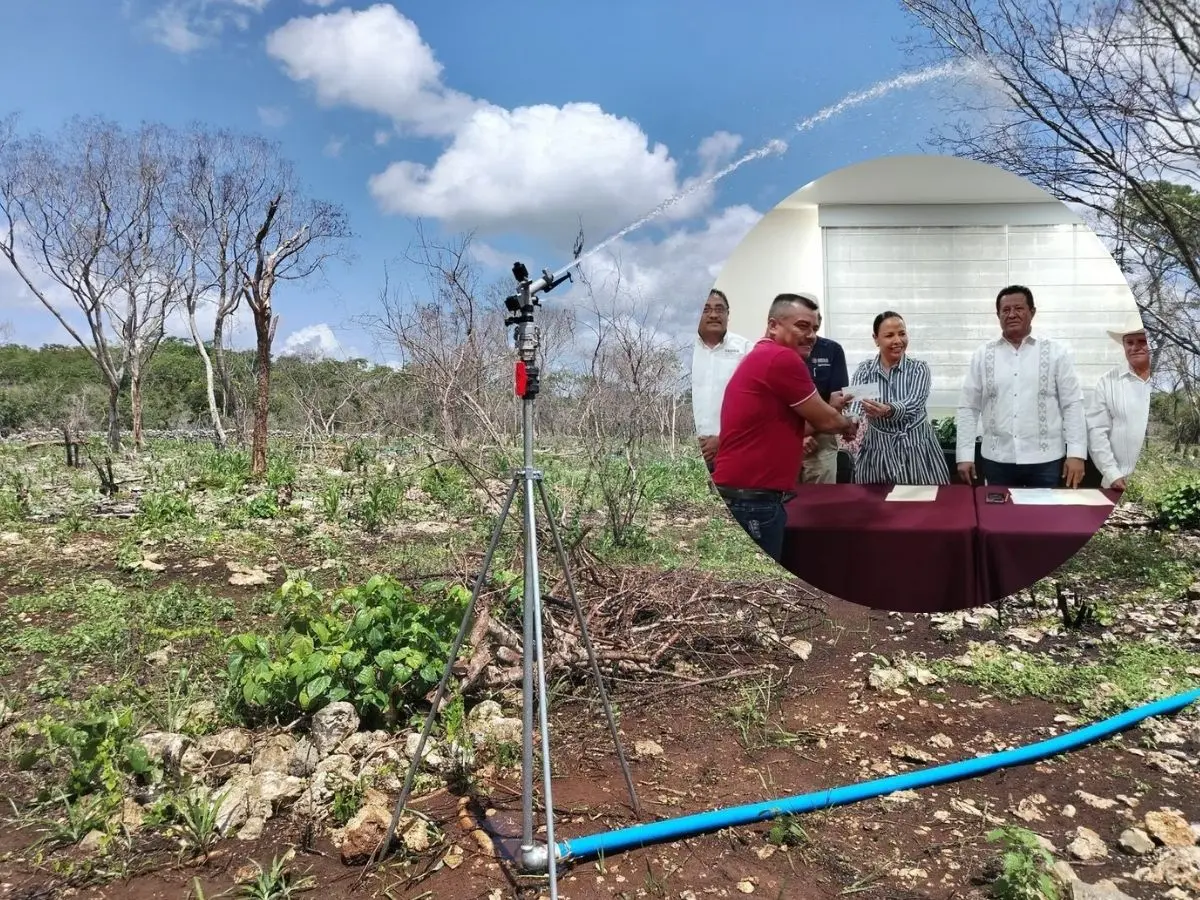 Productores del campo y pesca de Yucatán  de   Dzilam González, Tizimín, Mérida, Baca, Ticul, Tekit, Yobaín y Celestún fueron beneficiados con la entrega de crédito para impulsar su labor.- Fuente Seder