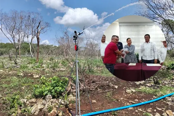 Fortalecen el campo y la pesca de Yucatán con la entrega de créditos para beneficiar a productores del estado Fortalecen el campo y la pesca de Yucatán con la entrega de créditos para beneficiar a productores del estado