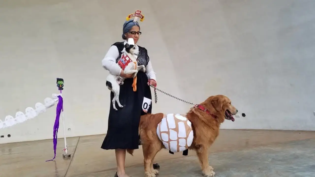 Además, con esta convivencia se promueve un estilo de vida más activo y enseña valores como la empatía y el respeto. Foto: Daniel Espinoza