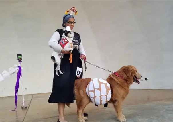 Este concurso de disfraces es el m&aacute;s esperado por los amantes de los animales