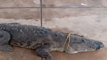 imagen recuadro imagen recuadro