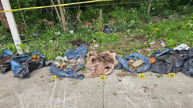 imagen-cuerpo imagen-cuerpo