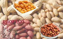 Estos cacahuates pueden dañar tu salud, según Profeco Estos cacahuates pueden dañar tu salud, según Profeco