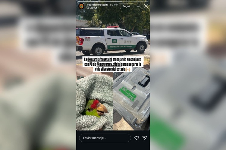 imagen-cuerpo imagen-cuerpo