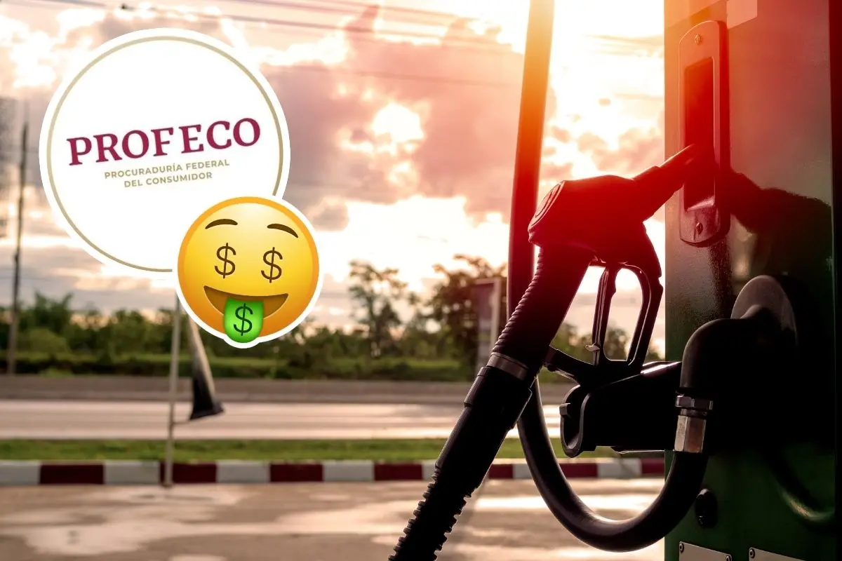 Profeco en Coahuila expone gasolinera más cara en Mexico / Foto: PROFECO | Canva