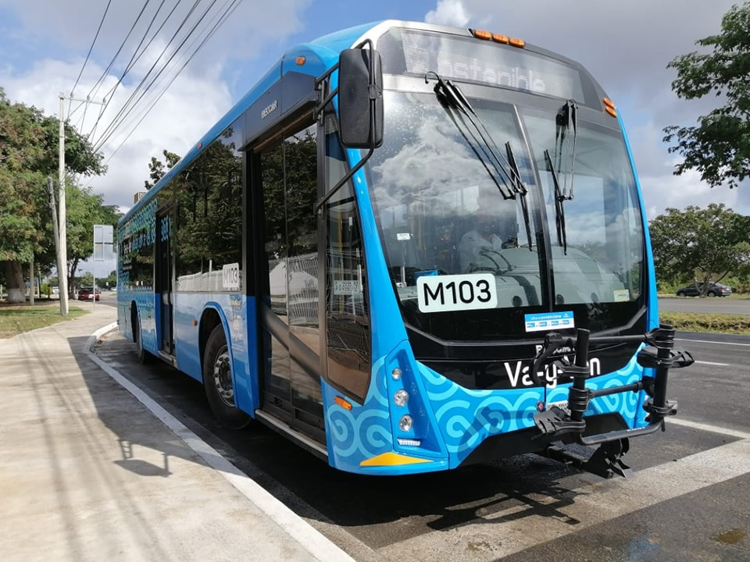 imagen-cuerpo imagen-cuerpo