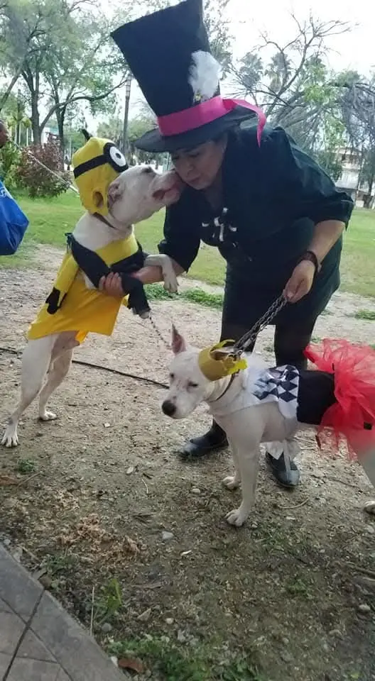 imagen recuadro imagen recuadro