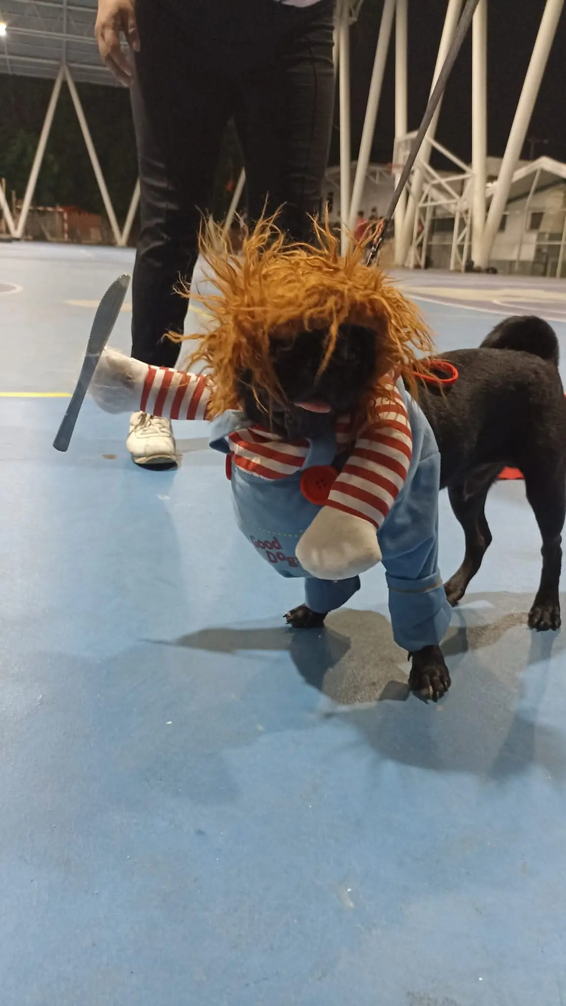 imagen recuadro imagen recuadro