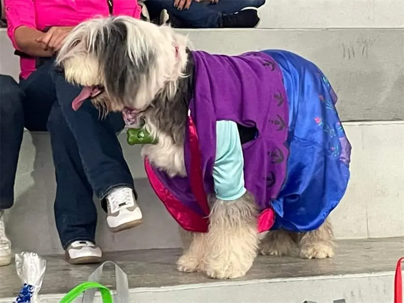 imagen recuadro imagen recuadro